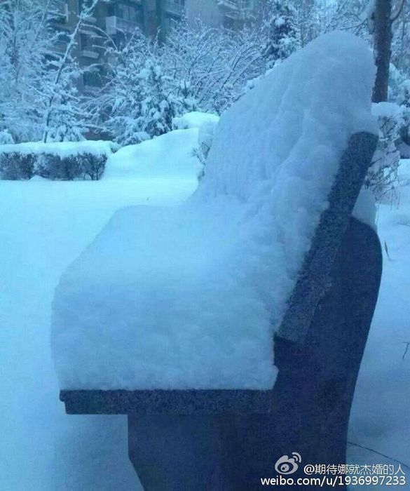 烏魯木齊遇暴雪 城區雪深達37厘米(組圖)