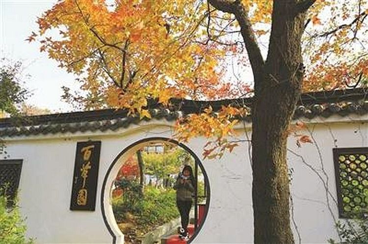 葛洪李时珍都爱到哪座名山寻药问道