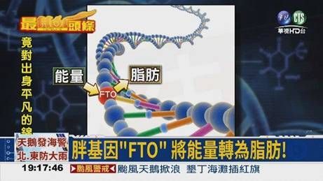 喝水都会发福! 肥胖基因在作怪