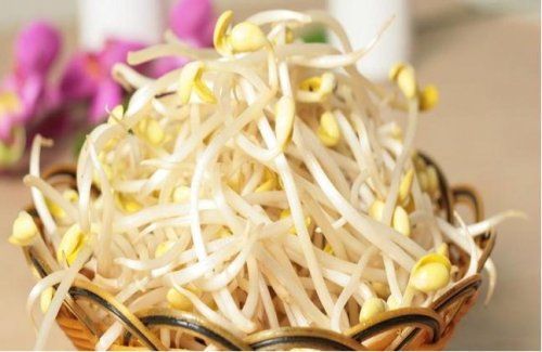 秋天吃豆芽菜有哪些好處？這些功效不可不知！(圖)