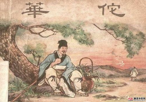 本草演義 華佗巧用三月茵陳治黃癆
