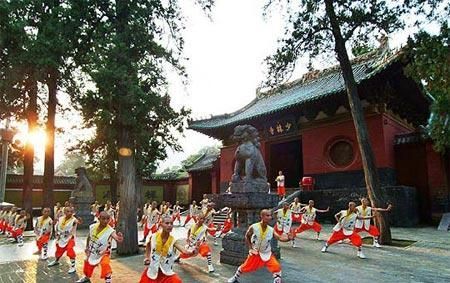 企业化经营－嵩山少林寺在国外有40多家分公司