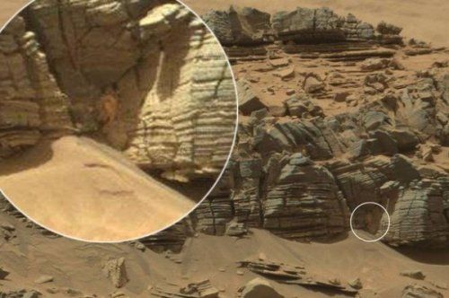 火星生物拍到了？像螃蟹或蜘蛛(圖)