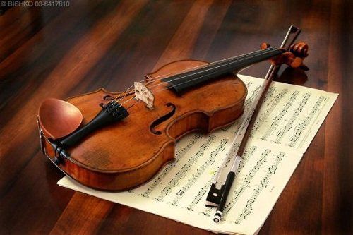 你可能不知道的小提琴(圖)