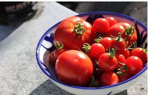 養好血才能護好肝（組圖）