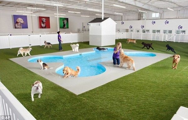 全球首座動物航廈「方舟」明年落成（組圖）